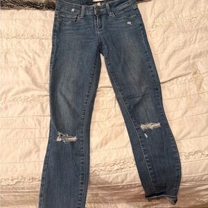 Women's Paige Jeans